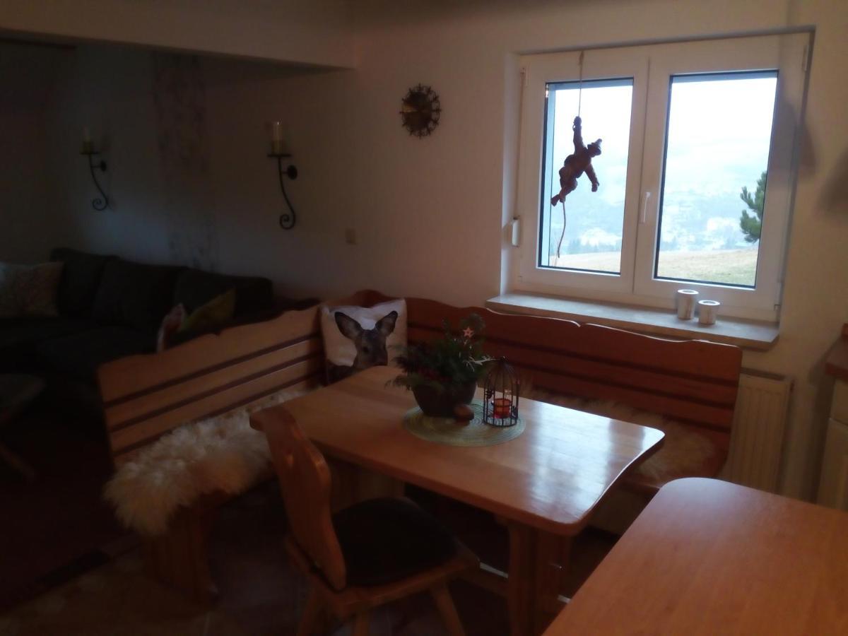 Ferienwohnung Koernerberg Klingenthal Buitenkant foto