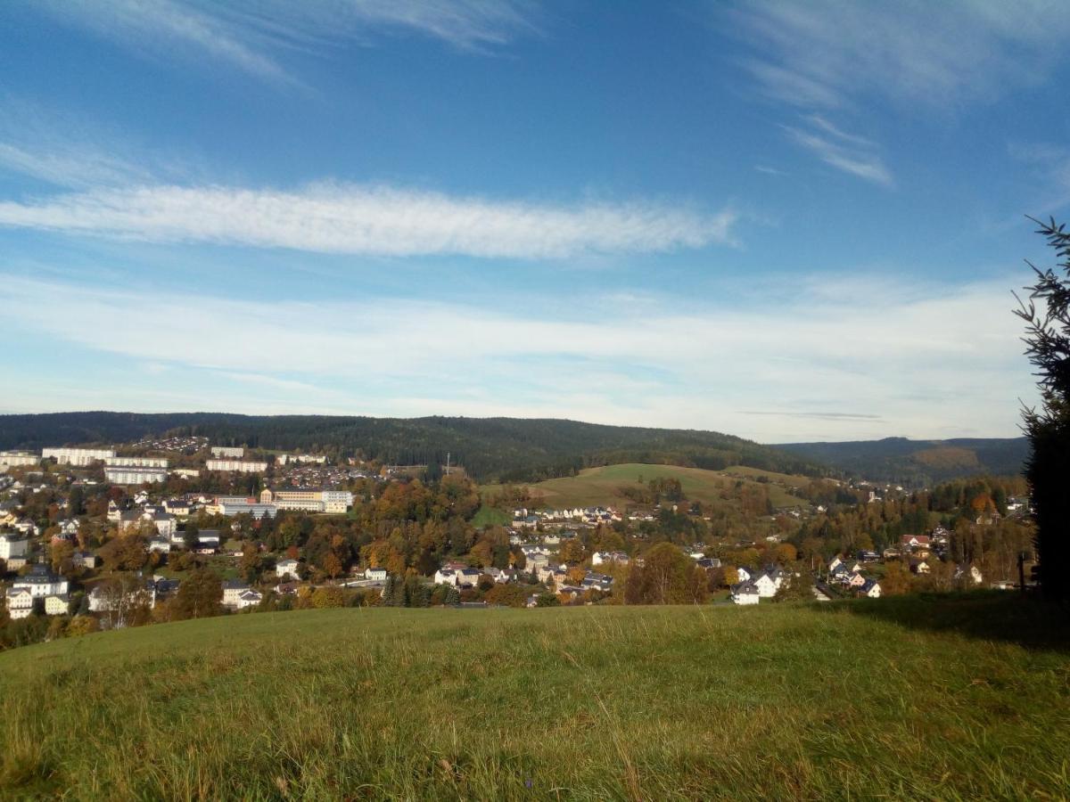 Ferienwohnung Koernerberg Klingenthal Buitenkant foto