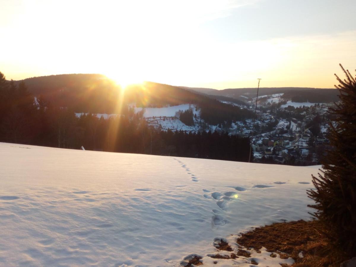 Ferienwohnung Koernerberg Klingenthal Buitenkant foto