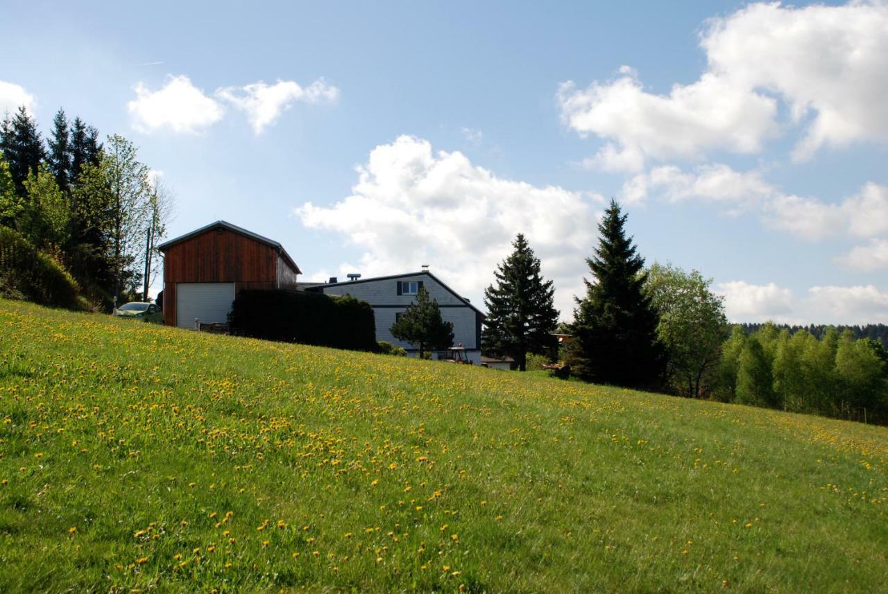 Ferienwohnung Koernerberg Klingenthal Buitenkant foto