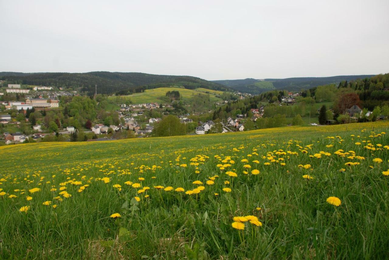 Ferienwohnung Koernerberg Klingenthal Buitenkant foto